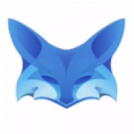 WismicFoxy